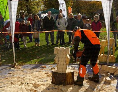 tweed valley forest festival.png