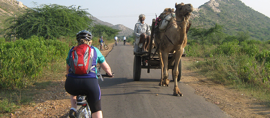 raj cycle.jpg