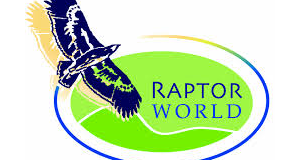 Raptor World